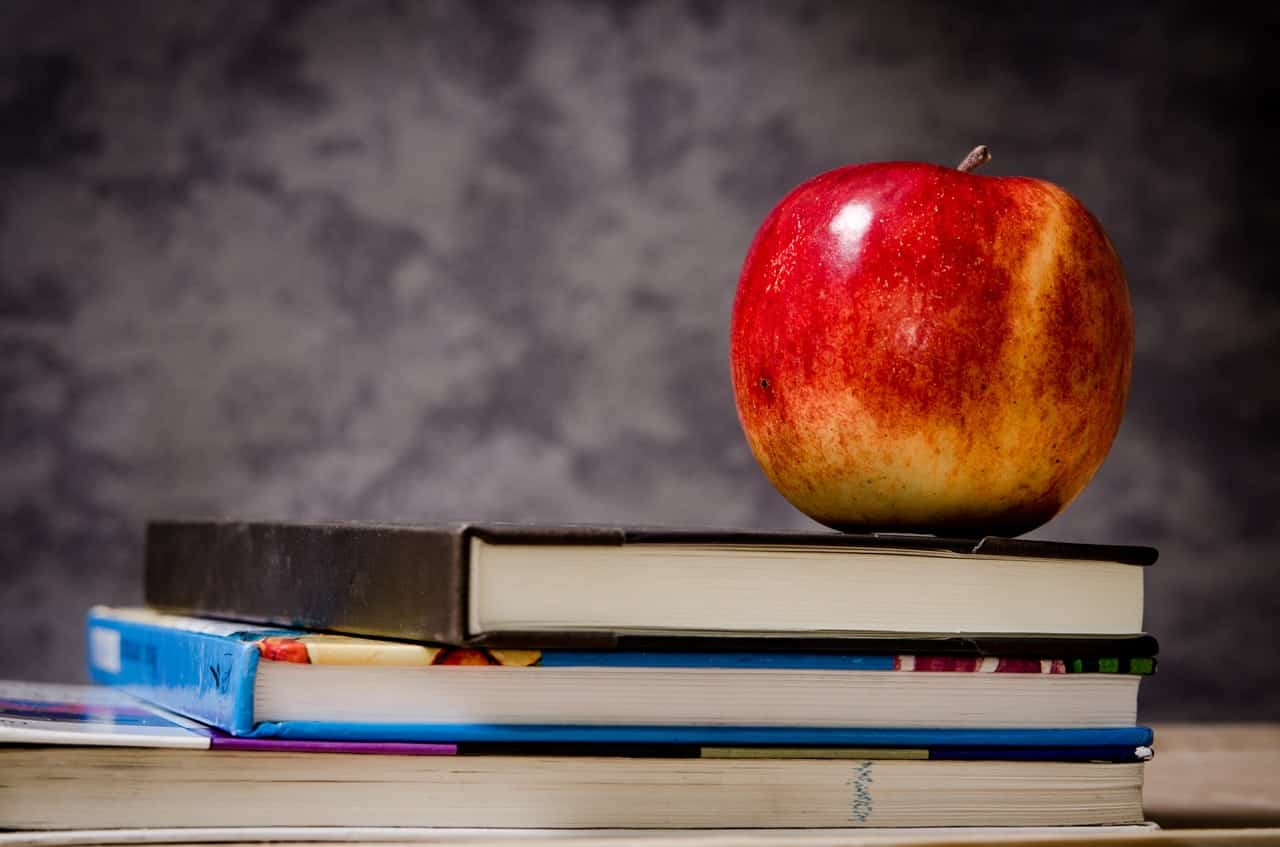 Pros and Cons of Year Round School