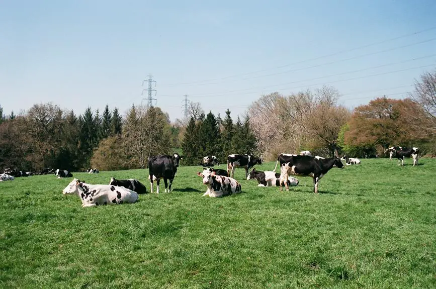 evaluating liquid feed benefits