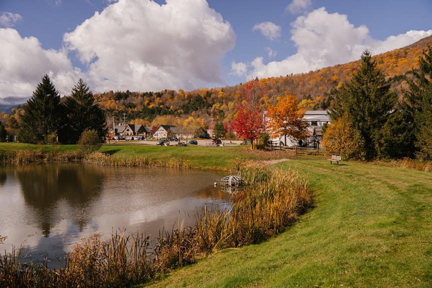property with a pond