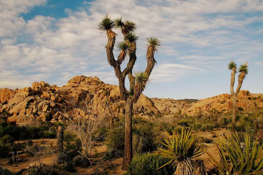 yucca mountain weighing benefits